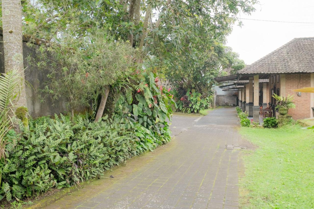 Pelangi Bedugul Redpartner * Bedugul (Bali)